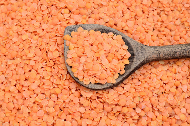 group of lentil - Photo, Image