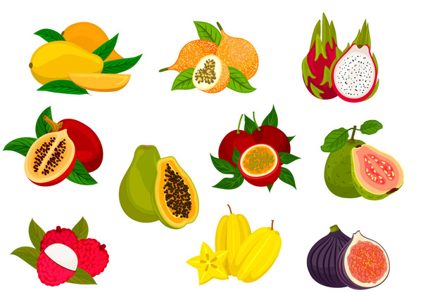 Egzotikus trópusi gyümölcs elszigetelt ikon készlet - Vektor, kép