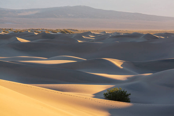 砂漠の砂丘 - 写真・画像
