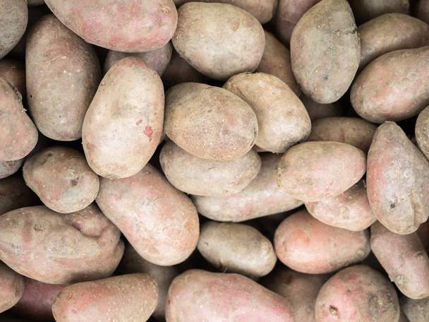 Large group of just harvested new potatoes - Photo, Image