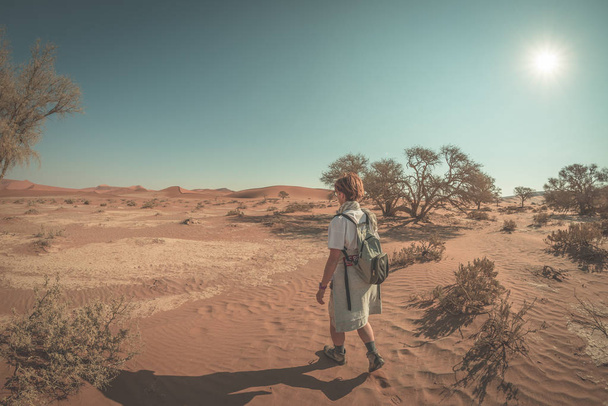 Turista caminando en el majestuoso desierto de Namib, Sossusvlei, Namib Naukluft Parque Nacional, destino de viaje en Namibia. Vista ultra amplia en retroiluminación, imagen tonificada
. - Foto, imagen