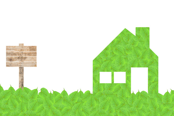 Casa di texture foglia verde e sfondo
 - Foto, immagini