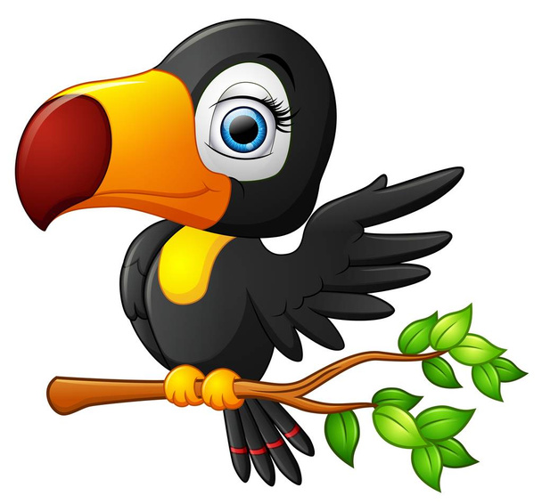 Carino toucan uccello cartone animato
 - Vettoriali, immagini