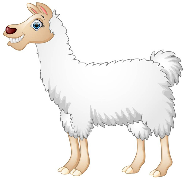 Leuke alpaca cartoon - Vector, afbeelding