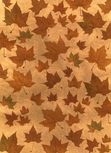 Autumn background illustration made with platanus leaves - Фото, зображення
