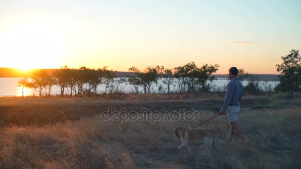 ο άνθρωπος το περπάτημα με γέρικο σκυλί κατά μήκος του ποταμού στο ηλιοβασίλεμα - Πλάνα, βίντεο