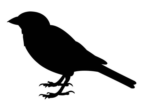 a sparrow silhouette vector - Vecteur, image