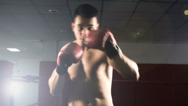 Junge männliche Sportler trainieren in Boxsporthalle - Filmmaterial, Video