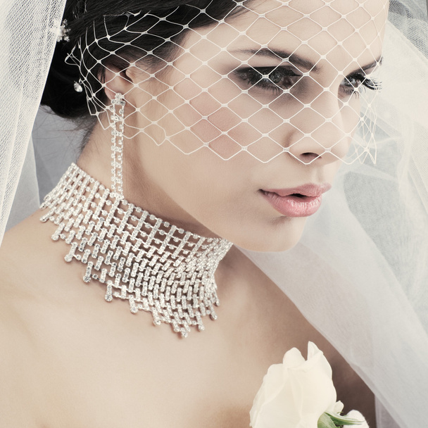 Portrait of beautiful bride. Wedding dress. Wedding decoration - Fotografie, Obrázek