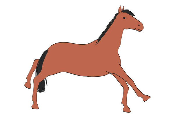 2d cartone animato illustrazione di cavallo
 - Foto, immagini