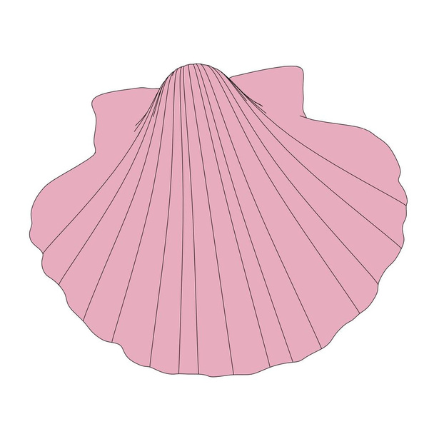 2d cartoon illustration of shell - Фото, изображение