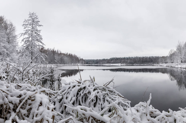 White winter landscape lake in the forest - Фото, изображение