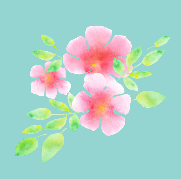елегантний світло-рожевий цвіт на синьому фоні м'ятного кольору. абстрактна квіткова акварельна ілюстрація. ніжний розмальований елемент квітки рожевої сливи. квіткове прикраса для літнього весілля запрошення
 - Фото, зображення