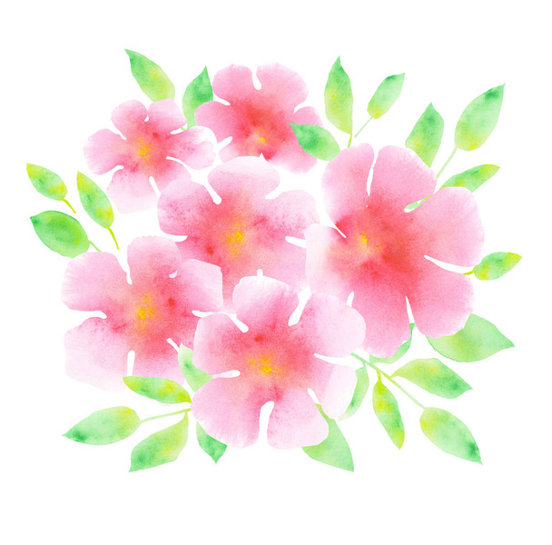 елегантний світло-рожевий цвіт на білому тлі. абстрактний квітковий
  - Фото, зображення