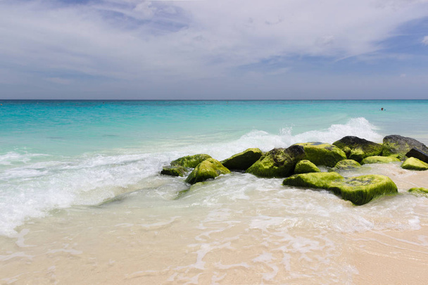 caribbean coast in Aruba - Фото, изображение