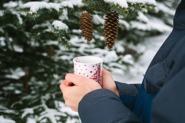 άνθρωπος που κρατά ένα φλιτζάνι ζεστό τσάι στα χέρια του δίπλα από το χριστουγεννιάτικο δέντρο στο δάσος του χειμώνα για το νέο έτος διακοπές - Φωτογραφία, εικόνα