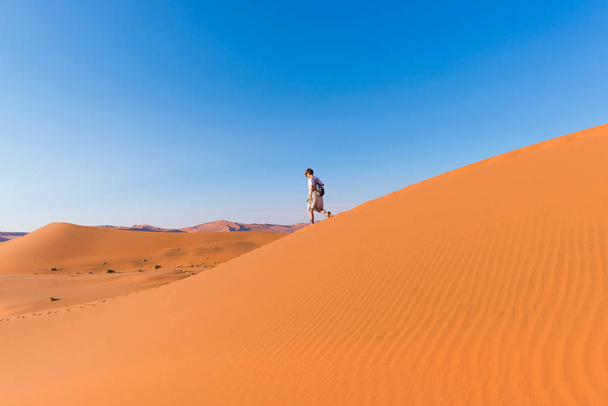 Turystycznych, chodzenie na malownicze wydmy Sossusvlei, pustynia Namib, Park Narodowy Namib Naukluft, Namibia. Popołudniowe światło. Przygody i eksploracji w Afryce. - Zdjęcie, obraz