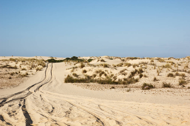 Dunes de sable dans le parc national du Donana, Matalascanas, Espagne
 - Photo, image