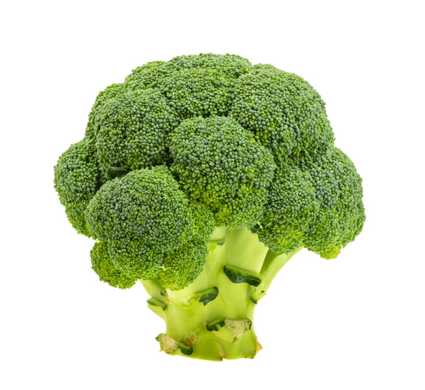 Broccoli freschi isolati su fondo bianco - Foto, immagini