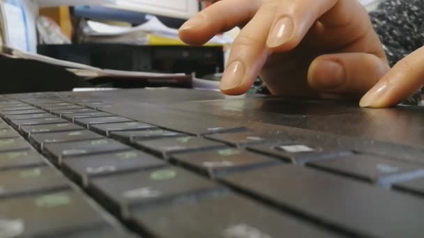 Handen van een vrouw met een laptop op de tafel - Video