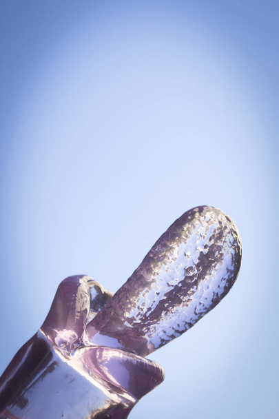 Jazyk vibrátor sex hračka - Fotografie, Obrázek