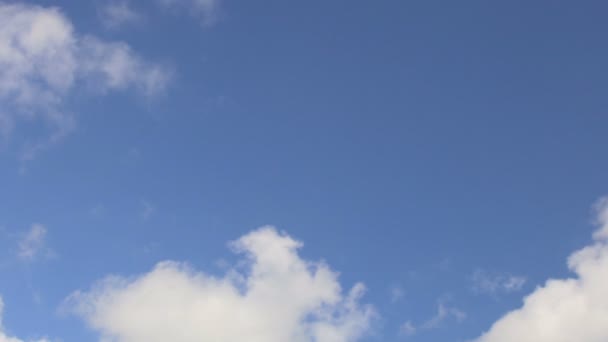 Academische caps op en neer vliegen in blauwe hemel, studenten afstuderen te vieren - Video