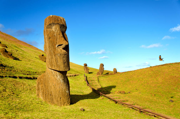 Moai nas colinas da Ilha de Páscoa
 - Foto, Imagem