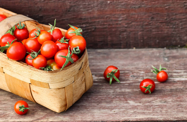 panier récolte tomate fraîche
 - Photo, image