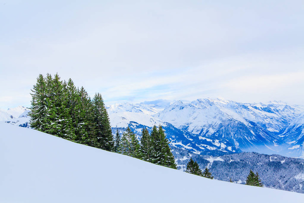 winter landscape.  winter background. mountains at winter - Zdjęcie, obraz