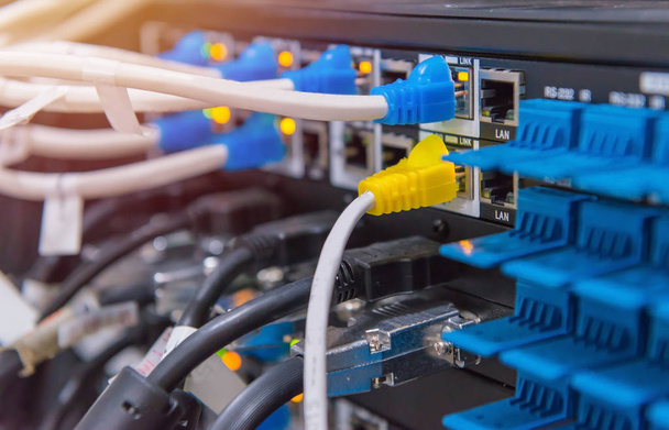 Kabel LAN podłączyć do przełącznika sieci internet lub sieci ethernet - Zdjęcie, obraz