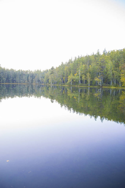 Forest lake smooth as a mirror of water. - Φωτογραφία, εικόνα