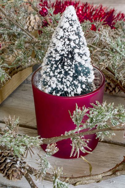Albero di Natale in vaso
 - Foto, immagini