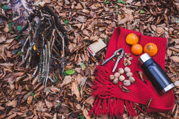 Cozy picnic in autumn forest  - Photo, Image