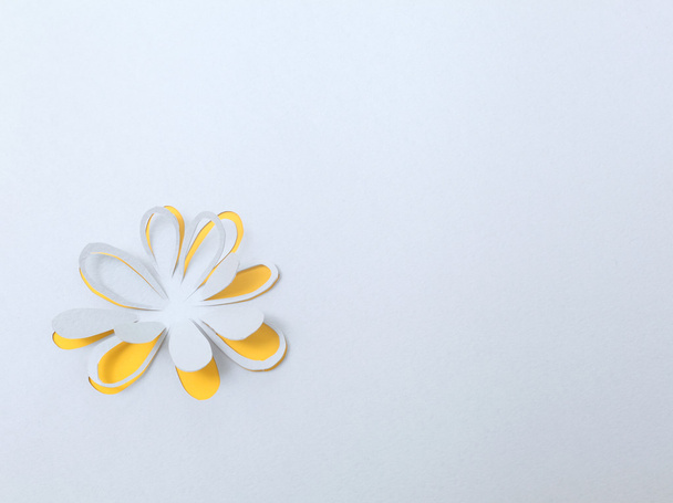 Flower origami handmade. - Фото, изображение