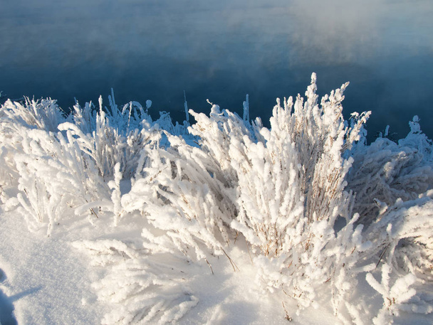 Winterlandschaft. Bäume und Sträucher mit Raureif. das Wasser im Fluss schwimmt im Nebel. kalte Jahreszeit. eine grau-weiße kristalline Ablagerung gefrorenen Wasserdampfes, der sich bei klarem, stillem Wetter auf der Vegetation gebildet hat - Foto, Bild