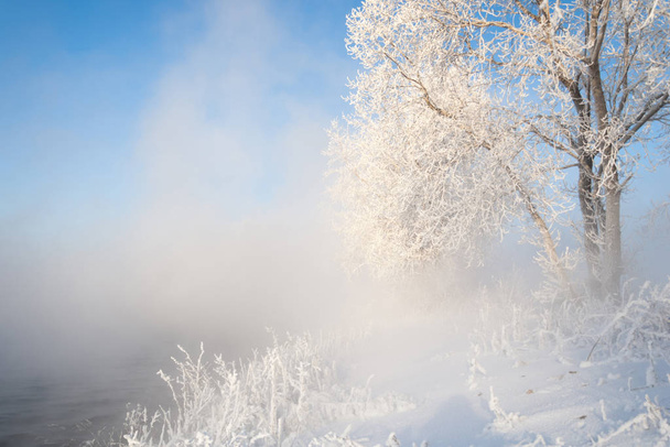 Winterlandschaft. Bäume und Sträucher mit Raureif. das Wasser im Fluss schwimmt im Nebel. kalte Jahreszeit. eine grau-weiße kristalline Ablagerung gefrorenen Wasserdampfes, der sich bei klarem, stillem Wetter auf der Vegetation gebildet hat - Foto, Bild