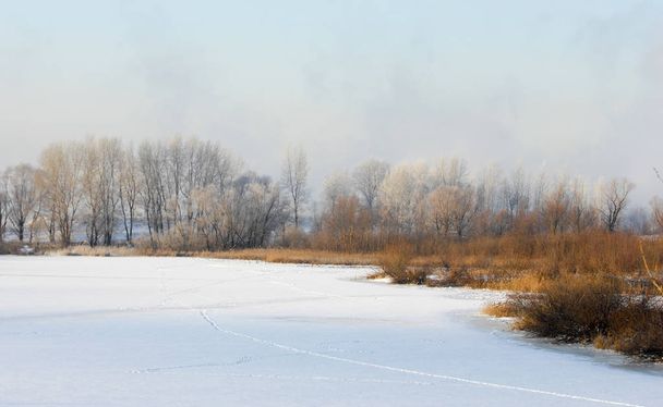 冬の風景。木々 や茂み霧氷と。霧に浮かぶ川の水。寒い季節。形成された冷凍の水蒸気の灰白色の結晶沈殿物をクリアまだ植生の天気 - 写真・画像
