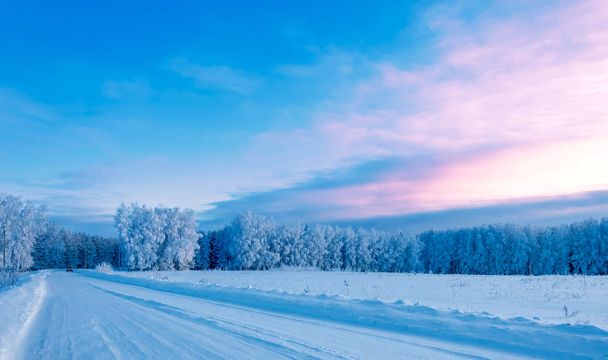 Kış manzarası. Ağaçlar ve çalılar ile hoarfrost. Suda  - Fotoğraf, Görsel