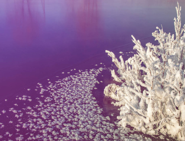 Inverno peyzazh.Tekstura, fundo, padrão. cristal de gelo congelado
 - Foto, Imagem