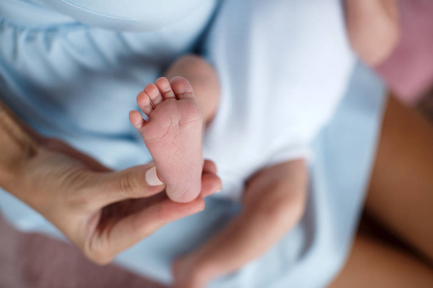 Closeup of baby feet and mother hands  - 写真・画像