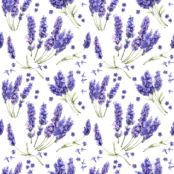 Wildflower lavender flower pattern in a watercolor style isolated. - Foto, Imagen