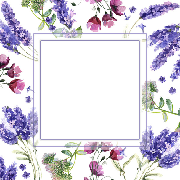 Flor silvestre marco de flores de lavanda en un estilo de acuarela aislado
. - Foto, Imagen