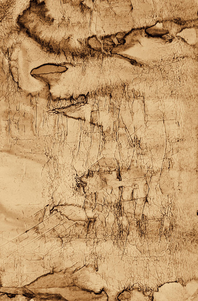Abstract watercolor on paper texture as background. In Sepia ton - Photo, Image