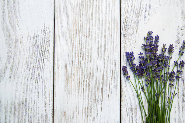 bos van lavendel - Foto, afbeelding