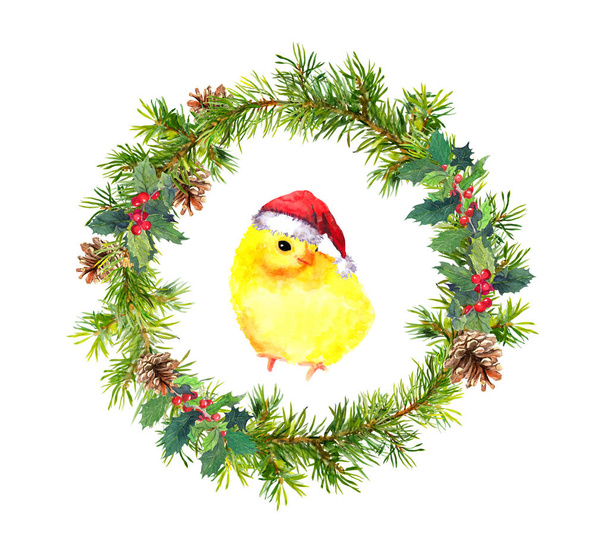 New year wreath, small cock in red santas hat. Watercolor bird - Fotoğraf, Görsel