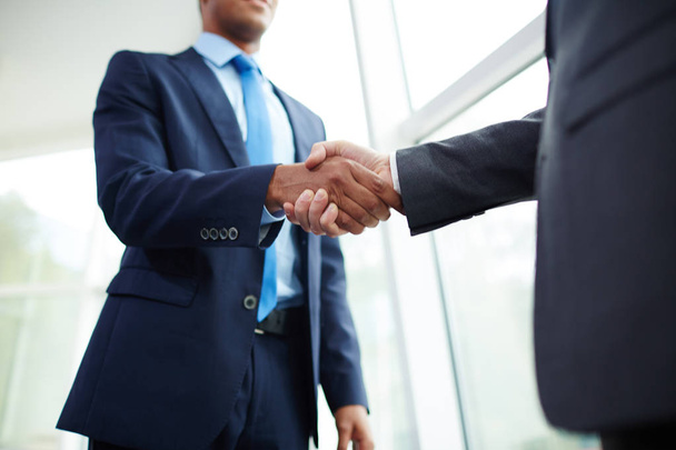 businessmen handshaking after making deal - Photo, Image