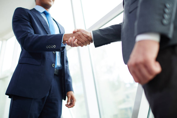businessmen handshaking after making deal - Φωτογραφία, εικόνα