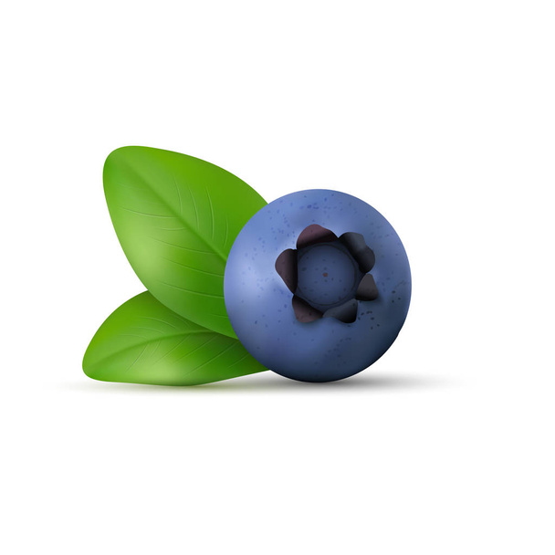 Blueberry hand-drawn icon - Vector, afbeelding