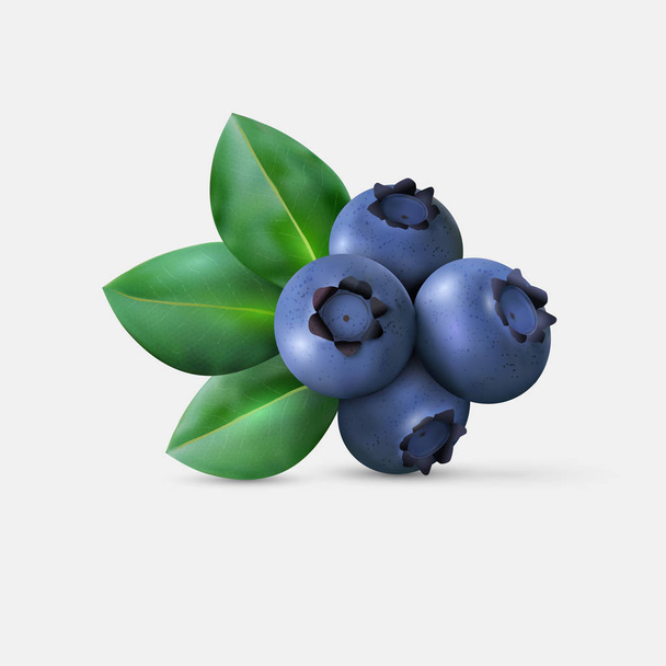 Blueberries hand-drawn icon - Vektör, Görsel