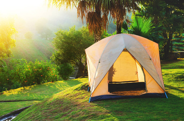Dome tent camping at   National Park, Thailand - Photo, Image